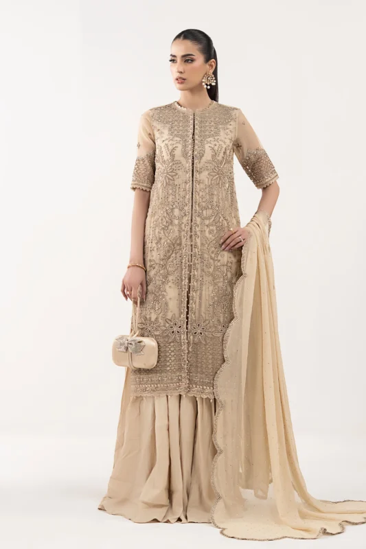 Zilverah 3-piece embroidered organza formal wear suit in coffee brown — buy online Pakistan