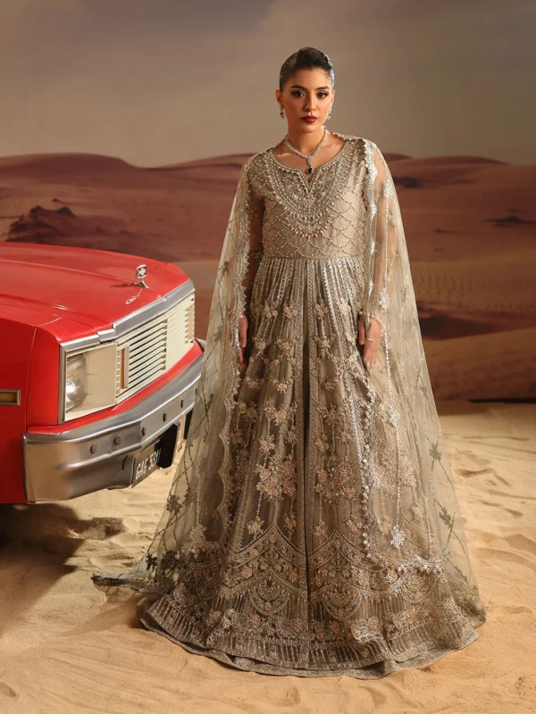 Zilverah Gray Embellished Net Maxi Party Wear — Buy Online Pakistan