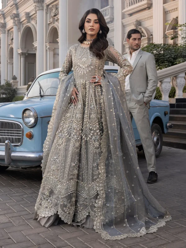 Zilverah Grey Organza Embroidered Maxi Party Wear – Buy Online Pakistan