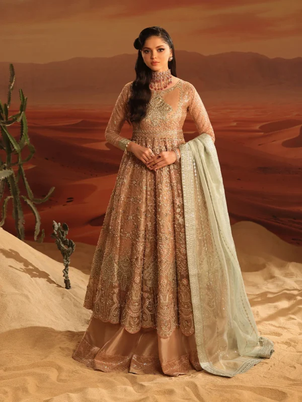 Zilverah Pink Organza Embellished Maxi Party Wear Pakistan — Front Full View